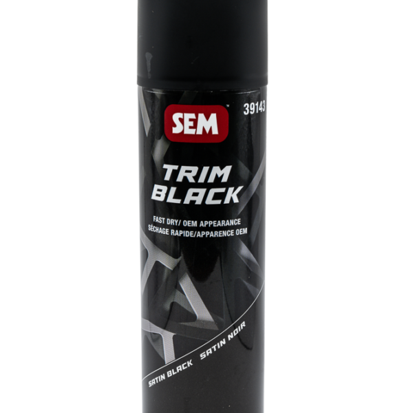 Trim Black 39143 Trim Paint, 20 oz Aerosol Can, Black